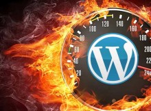 hosting wordpress